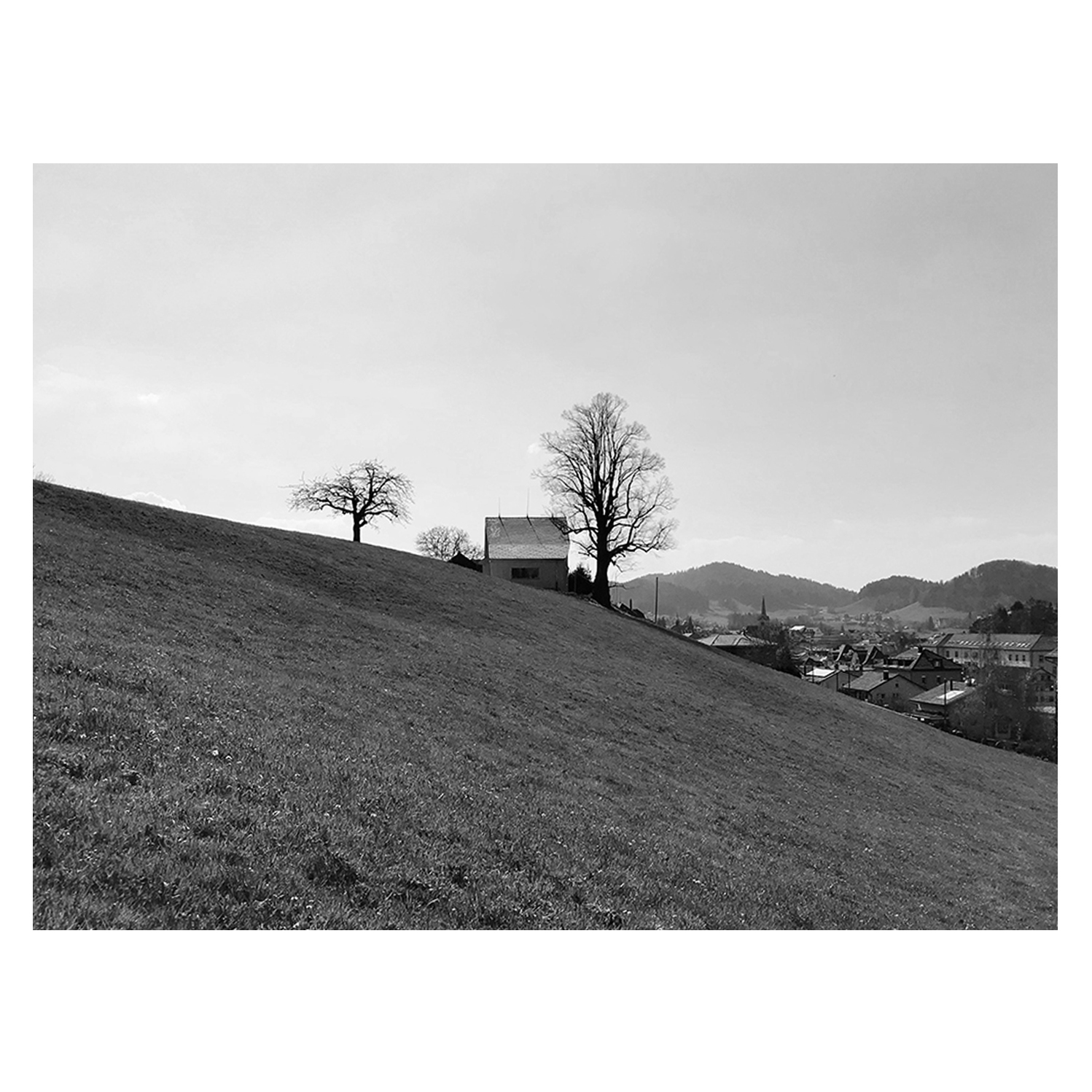 Appenzellerhaus Moosberg Herisau / Flühler Architektur GmbH St.Gallen Herisau